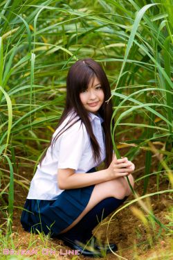 长风渡电视剧在线观看完整版免费